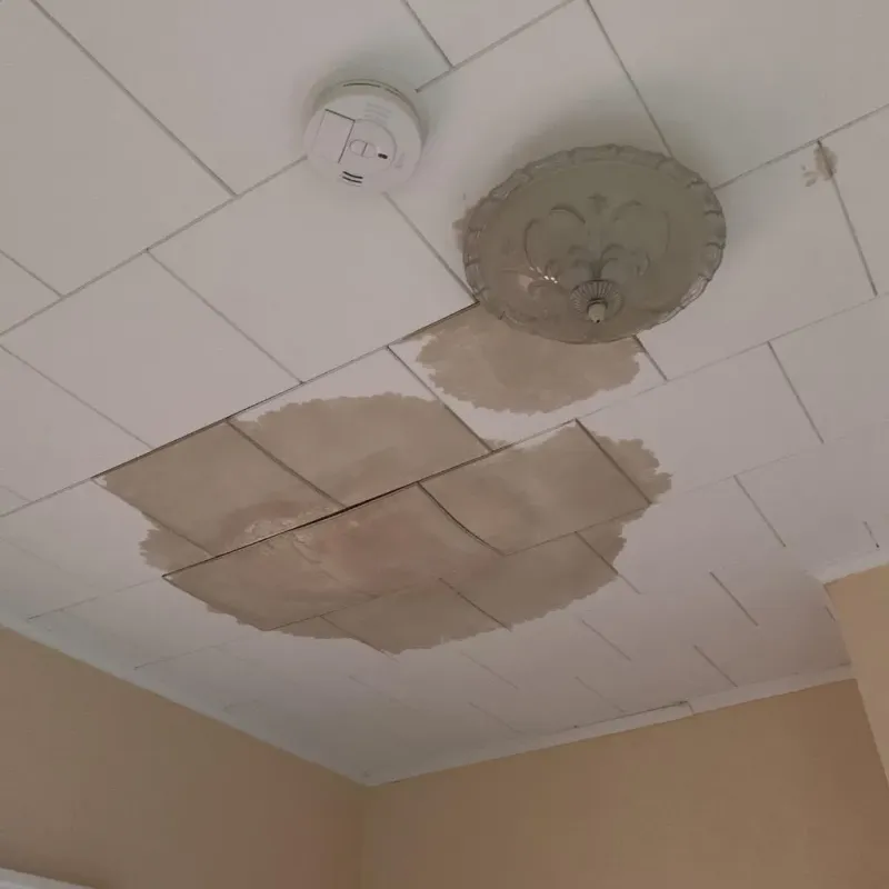 Ceiling Water Damage Repair in Central, TN