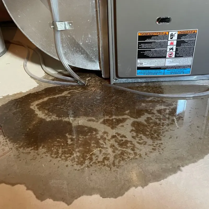 Pipe Burst and Leak Restoration in Central, TN
