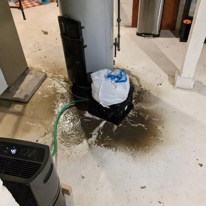 Sewage Backup Cleanup Service in Central, TN